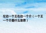左边一个王右边一个介（一个王一个介是什么意思）