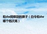 和dw同级别的牌子（白令和dw哪个档次高）