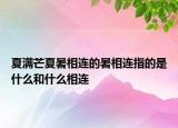 夏满芒夏暑相连的暑相连指的是什么和什么相连