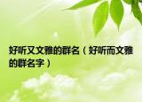 好听又文雅的群名（好听而文雅的群名字）