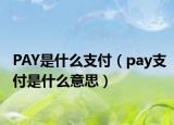 PAY是什么支付（pay支付是什么意思）