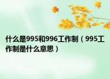 什么是995和996工作制（995工作制是什么意思）