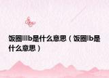饭圈lllb是什么意思（饭圈lb是什么意思）