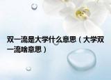 双一流是大学什么意思（大学双一流啥意思）