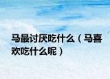 马最讨厌吃什么（马喜欢吃什么呢）