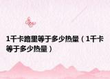 1千卡路里等于多少热量（1千卡等于多少热量）