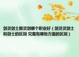 剑灵剑士跟灵剑哪个职业好（剑灵灵剑士和剑士的区别 究竟有哪些方面的区别）