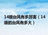 14级台风有多厉害（14级的台风有多大）