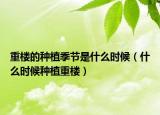 重楼的种植季节是什么时候（什么时候种植重楼）