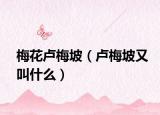 梅花卢梅坡（卢梅坡又叫什么）