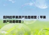 我种的苹果原产地是哪里（苹果原产地是哪里）