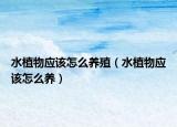 水植物应该怎么养殖（水植物应该怎么养）