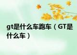 gt是什么车跑车（GT是什么车）