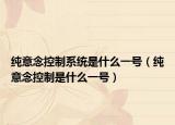 纯意念控制系统是什么一号（纯意念控制是什么一号）