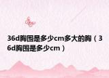 36d胸围是多少cm多大的胸（36d胸围是多少cm）