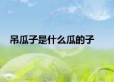 吊瓜子是什么瓜的子