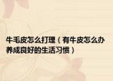 牛毛皮怎么打理（有牛皮怎么办 养成良好的生活习惯）