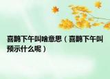 喜鹊下午叫啥意思（喜鹊下午叫预示什么呢）