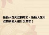 断肠人在天涯的意思（断肠人在天涯的断肠人是什么意思）