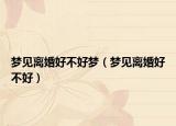 梦见离婚好不好梦（梦见离婚好不好）