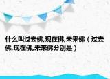 什么叫过去佛,现在佛,未来佛（过去佛,现在佛,未来佛分别是）