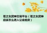 苍之女武神交易平台（苍之女武神应该怎么进入公会拍卖）