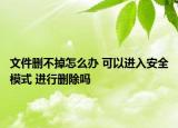 文件删不掉怎么办 可以进入安全模式 进行删除吗