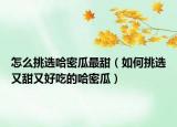怎么挑选哈密瓜最甜（如何挑选又甜又好吃的哈密瓜）