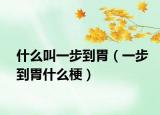 什么叫一步到胃（一步到胃什么梗）