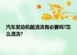 汽车发动机舱清洗有必要吗?怎么清洗?