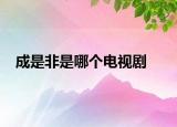 成是非是哪个电视剧