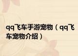 qq飞车手游宠物（qq飞车宠物介绍）