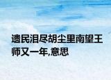 遗民泪尽胡尘里南望王师又一年,意思