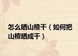 怎么晒山楂干（如何把山楂晒成干）