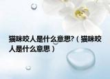 猫咪咬人是什么意思?（猫咪咬人是什么意思）