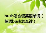 bush怎么读英语单词（英语bush怎么读）