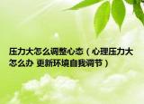 压力大怎么调整心态（心理压力大怎么办 更新环境自我调节）
