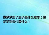 做梦梦到了虫子是什么意思（做梦梦到虫代表什么）