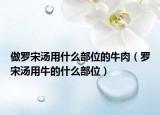 做罗宋汤用什么部位的牛肉（罗宋汤用牛的什么部位）