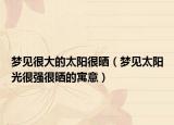梦见很大的太阳很晒（梦见太阳光很强很晒的寓意）