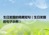 生日发圈的精美短句（生日发圈的句子示例）