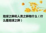 地球之肺和人类之肺有什么（什么是地球之肺）