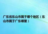 广东省东山市属于哪个地区（东山市属于广东哪里）
