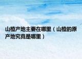 山楂产地主要在哪里（山楂的原产地究竟是哪里）