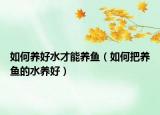 如何养好水才能养鱼（如何把养鱼的水养好）