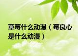 草莓什么动漫（莓良心是什么动漫）