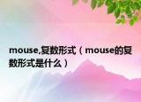 mouse,复数形式（mouse的复数形式是什么）