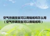 空气炸锅里面可以用锡纸吗怎么用（空气炸锅里面可以用锡纸吗）