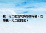 独一无二的霸气伤感的网名（伤感独一无二的网名）