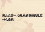 西北玄天一片云,乌鸦落进凤凰群什么意思